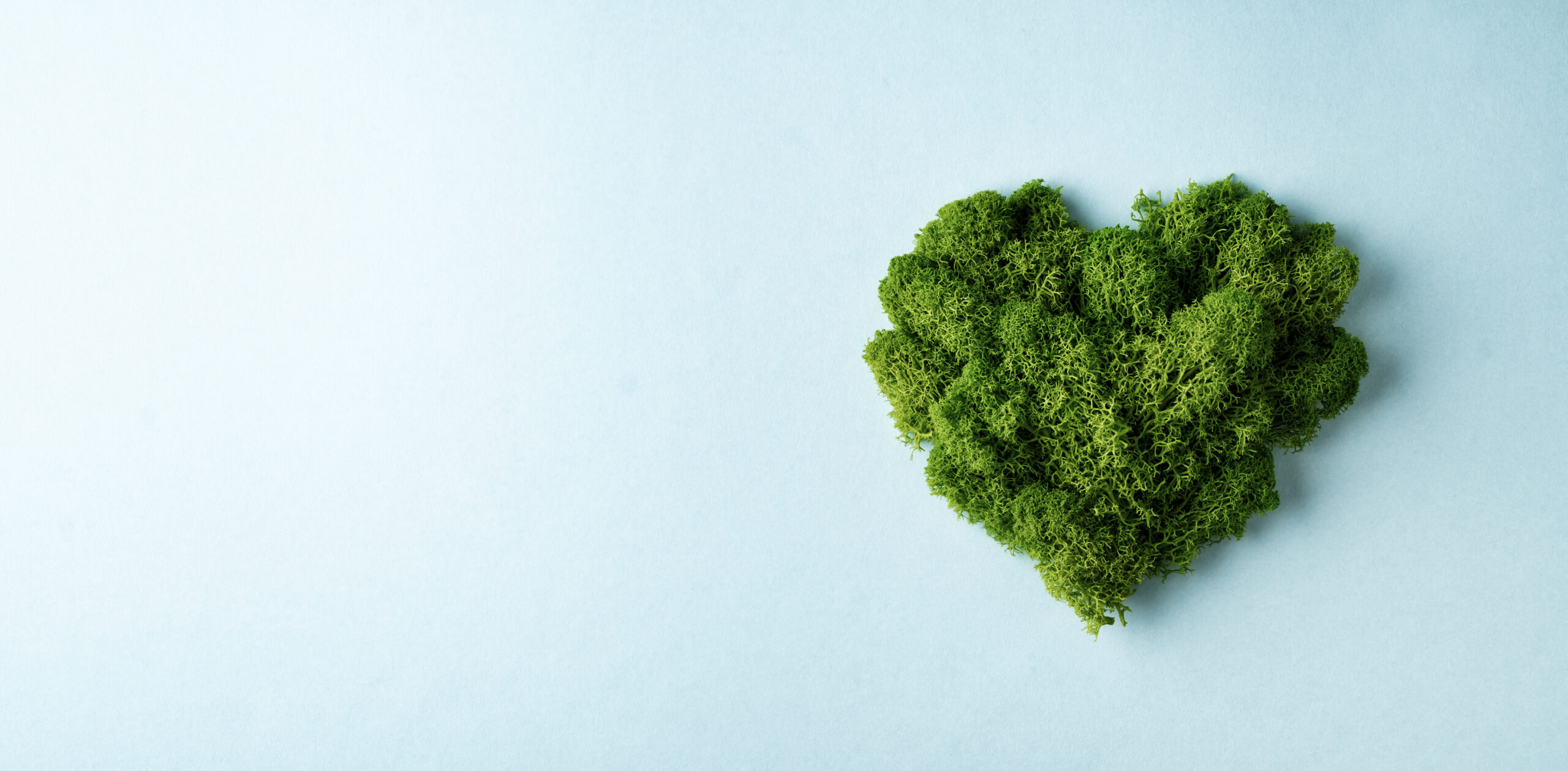 Green Operations — sostenibilidad y operaciones verdes en logística — Logistics Express
